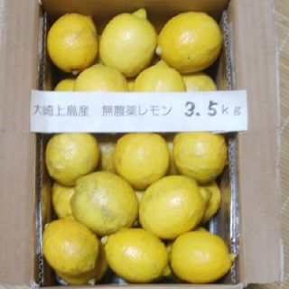 広島県大崎上島無農薬レモン　3.5kg(フルーツ)