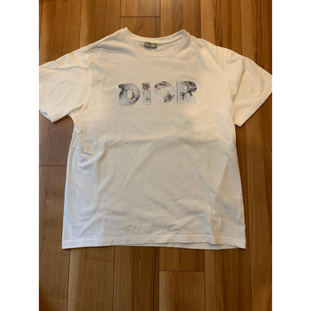 トップス美品　プレミア　ディオールオム Dior daniel arsham Tシャツ