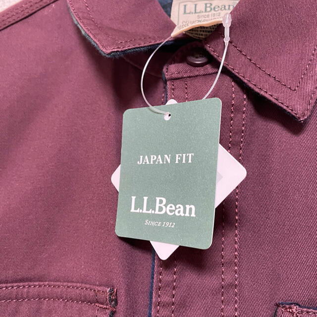 L.L.Bean(エルエルビーン)のL.L.Bean ラインドハリケーンシャツ　ジャパンフィット メンズのトップス(シャツ)の商品写真