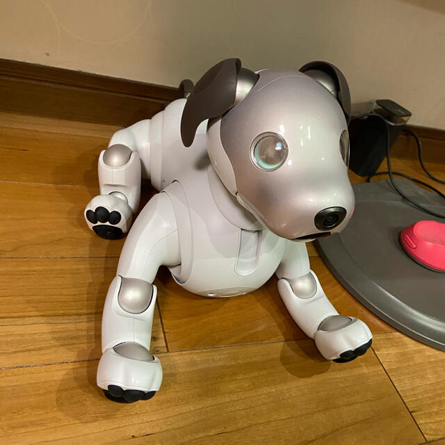 SONY aibo ERS-1000　新型アイボ