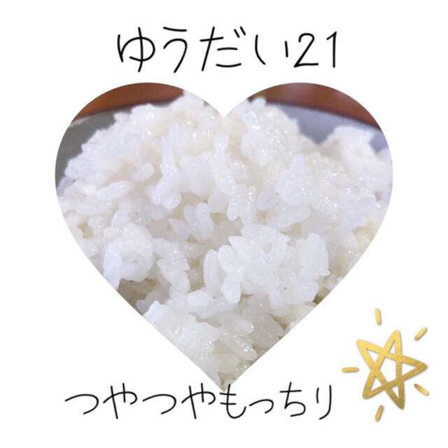 栃木県産ゆうだい21【特別栽培米】白米5kg×2 1