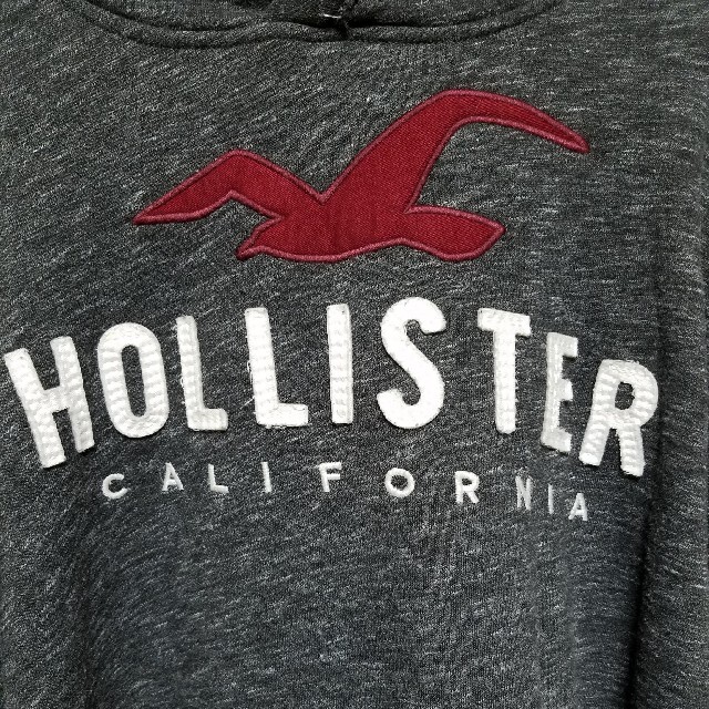 Hollister(ホリスター)のホリスター HOLLISTER パーカー メンズのトップス(パーカー)の商品写真