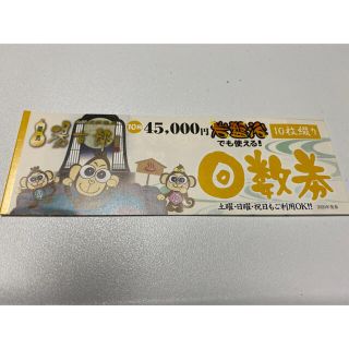 新品未使用　天然温泉　とうきちろう　回数券　10枚綴り×1冊(その他)