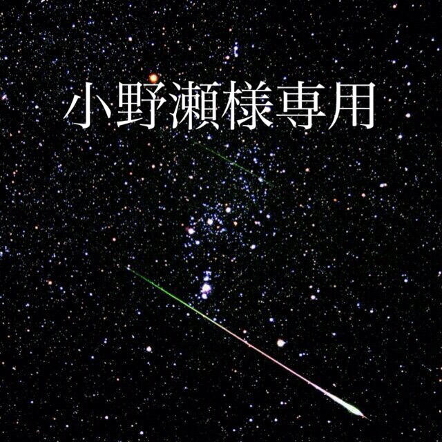 小野瀬勝則 様専用 | www.elektroepiliacija.lt