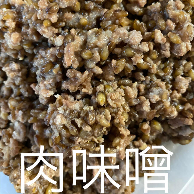 ダイシモチ玄麦500g 食品/飲料/酒の食品(米/穀物)の商品写真