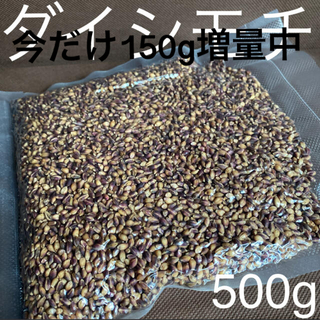ダイシモチ玄麦500g(米/穀物)