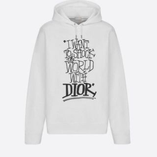 ディオール(Dior)のDIOR STUSSY(パーカー)