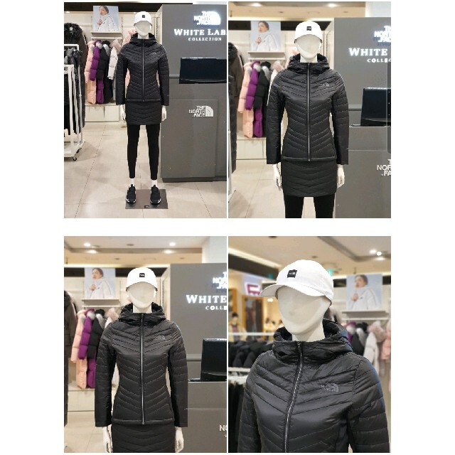 THE NORTH FACE(ザノースフェイス)のノースフェイス　THE NORTH FACE　軽量　ジャケット　新品　海外　M レディースのジャケット/アウター(ナイロンジャケット)の商品写真