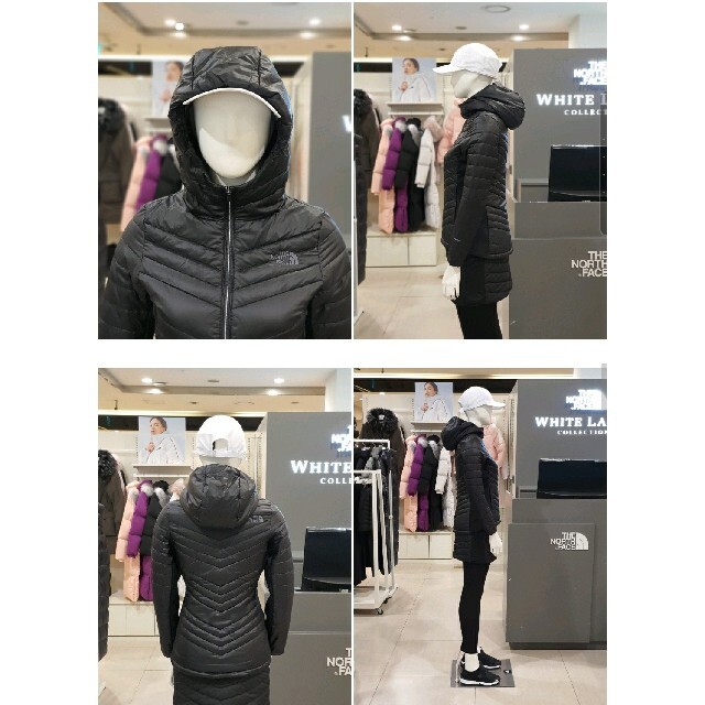 THE NORTH FACE(ザノースフェイス)のノースフェイス　THE NORTH FACE　軽量　ジャケット　新品　海外　M レディースのジャケット/アウター(ナイロンジャケット)の商品写真