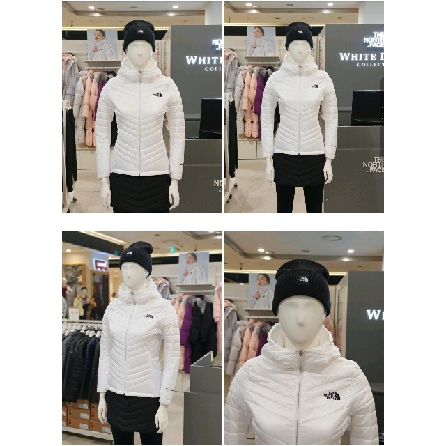 THE NORTH FACE(ザノースフェイス)のノースフェイス　THE NORTH FACE　軽量　ジャケット　新品　海外　S レディースのジャケット/アウター(ナイロンジャケット)の商品写真