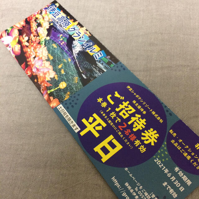 伊豆高原グランイルミ ご招待券（平日2名） チケットの施設利用券(遊園地/テーマパーク)の商品写真