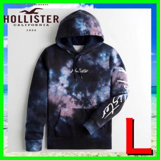 ホリスター(Hollister)の65ホリスター  パーカー　スウェット  L 新品 正規品 メンズ(パーカー)