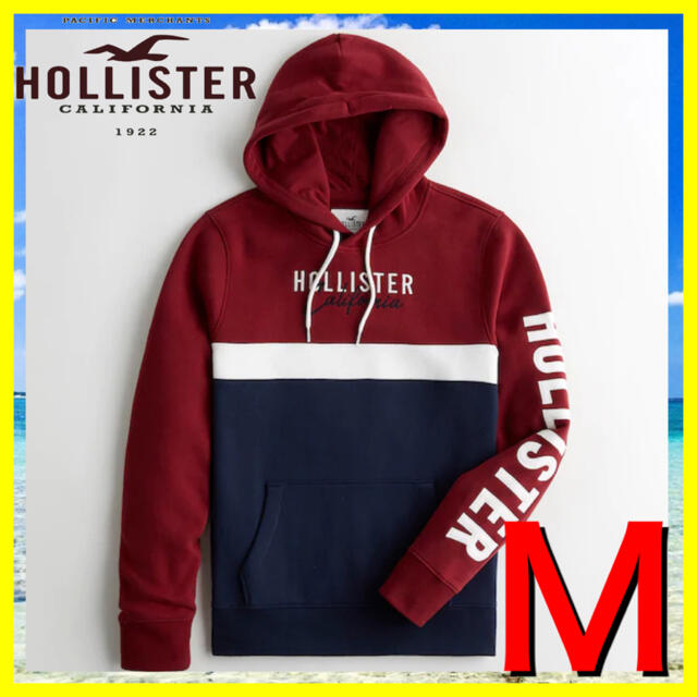 HOLLISTER ホリスター トレーナー レディース S  新品