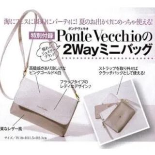 ポンテヴェキオ(PonteVecchio)の雑誌付録 ponte vecchio 2way ミニバッグ(ショルダーバッグ)