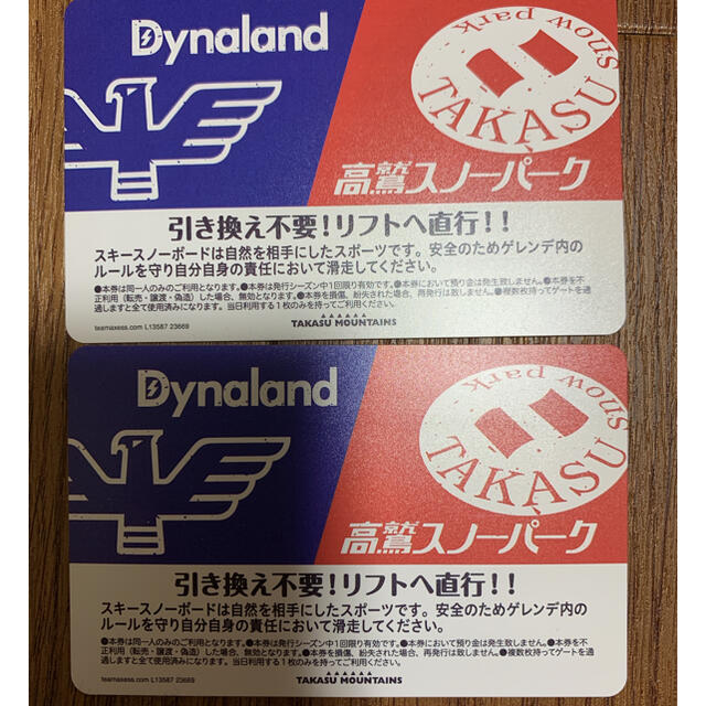 高鷲スノーパーク+ダイナランド共通１日券 2枚セット