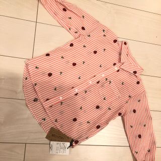 新品 M インセクトコレクション シャツ  Insect collection(ブラウス)