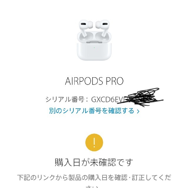 Apple(アップル)の【国内正規品】AirPods Pro（エアポッド）MWP22J/A スマホ/家電/カメラのオーディオ機器(ヘッドフォン/イヤフォン)の商品写真