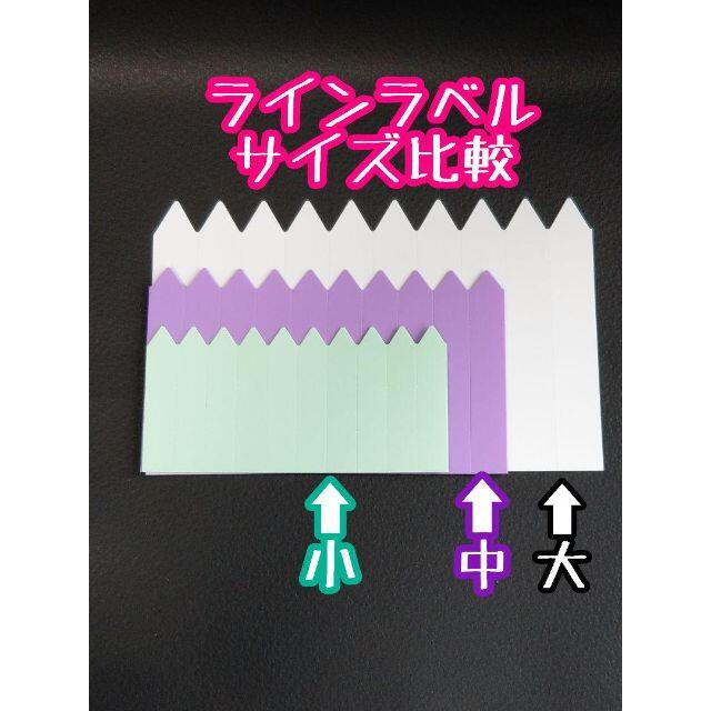 ◎ 100枚 ◎ 白( 中 ) ラインラベル 園芸ラベル カラーラベル ハンドメイドのフラワー/ガーデン(プランター)の商品写真