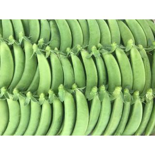 スナップエンドウ(野菜)