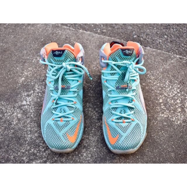 （値下げ中）Nike LeBron 12 NSRL