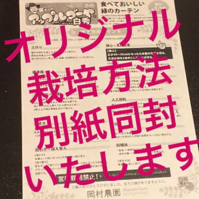 12561 【HT5ST5】上里岡村農園寅さんのアップルゴーヤのタネ10粒セット 食品/飲料/酒の食品(野菜)の商品写真