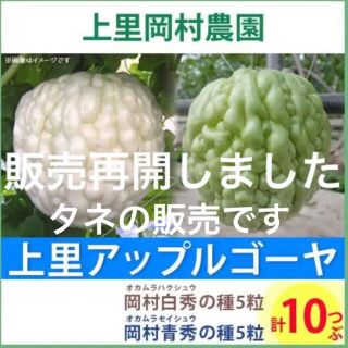 12561 【HT5ST5】上里岡村農園寅さんのアップルゴーヤのタネ10粒セット(野菜)