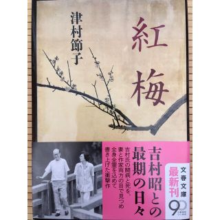 紅梅(文学/小説)