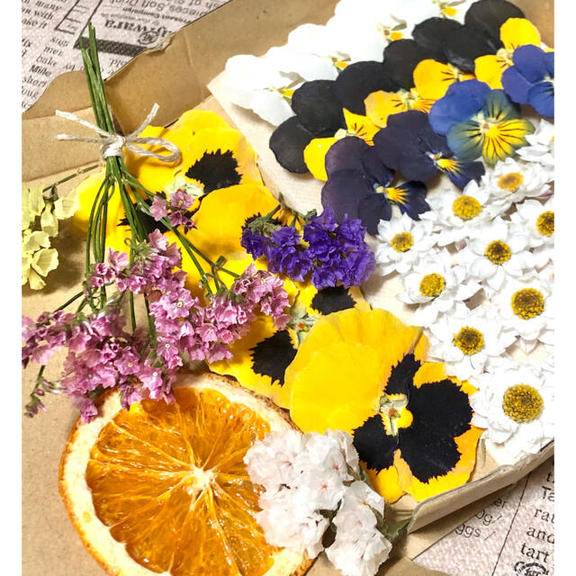 ドライフラワー花材セットNo.89⁑花かんざし❇︎ビオラ❇︎HBスターチス ハンドメイドのフラワー/ガーデン(ドライフラワー)の商品写真