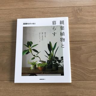 NHK趣味の園芸　観葉植物と暮らす　育て方、楽しみ方のガイドブック(住まい/暮らし/子育て)