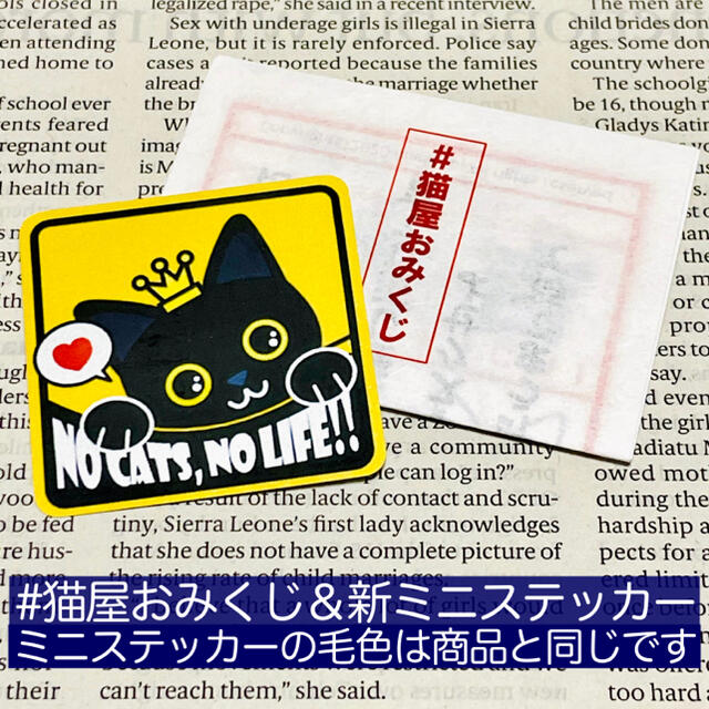 【ハチワレ鼻黒】猫脱走注意‼︎縦長ステッカーセット ネコねこシール その他のペット用品(猫)の商品写真