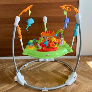 フィッシャープライス(Fisher-Price)の【美品】レインフォレスト・ジャンパルーⅡ  フィッシャープライス(ベビージム)