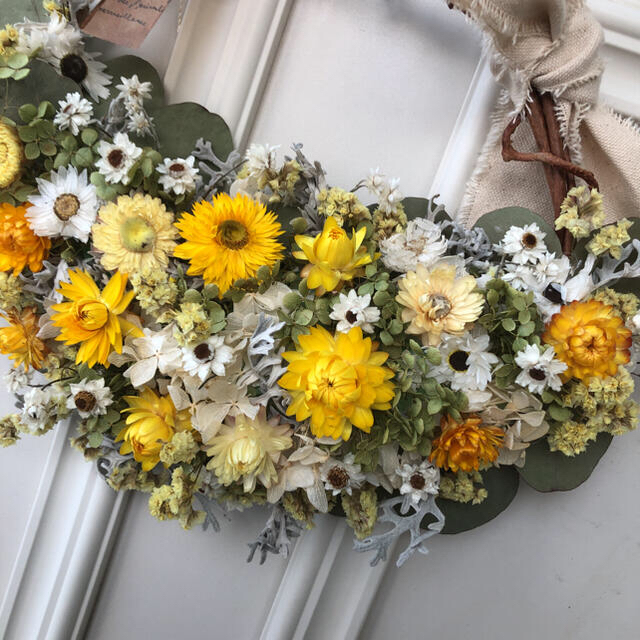 ポポラスとイエローの貝殻草のドライフラワーリース ポポラスとイエローの貝殻草のドライフラワーリース