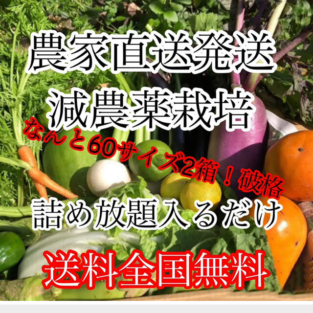 冬野菜詰め合わせ破格60サイズ2箱‼️ダンボール入るだけ 食品/飲料/酒の食品(野菜)の商品写真