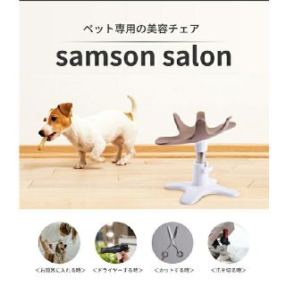 ペット専用の美容チェア (犬)