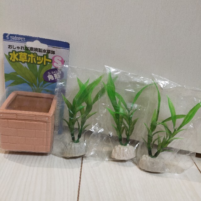 素焼製 水草鉢 水草ポット S 角形 水草 造花の通販 By Miso ラクマ 素焼製 水草鉢 水草ポット S 角形 水草 造花の通販 By Miso ラクマ