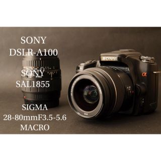 ソニー(SONY)の永遠の名機　SONY【a100  DSLR-A100】レンズセット(デジタル一眼)