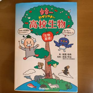 ほのぼの様専用*ˊᵕˋ)੭(語学/参考書)