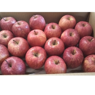 りんご 極小粒 18個入り 秋田県横手市産 品種「ふじ」(フルーツ)