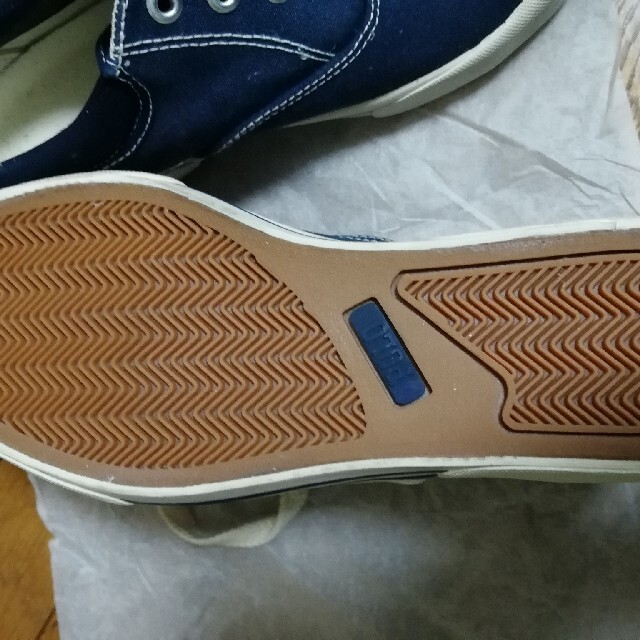 POLO　サイズ7 メンズの靴/シューズ(スニーカー)の商品写真