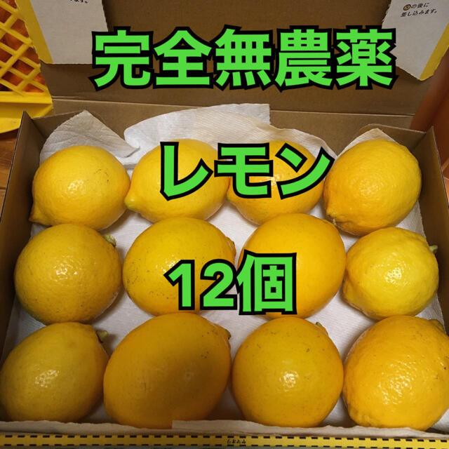 農家直送■完全無農薬レモン12個 食品/飲料/酒の食品(フルーツ)の商品写真