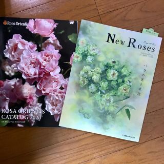 New Roses 28 オマケ付き(趣味/スポーツ/実用)