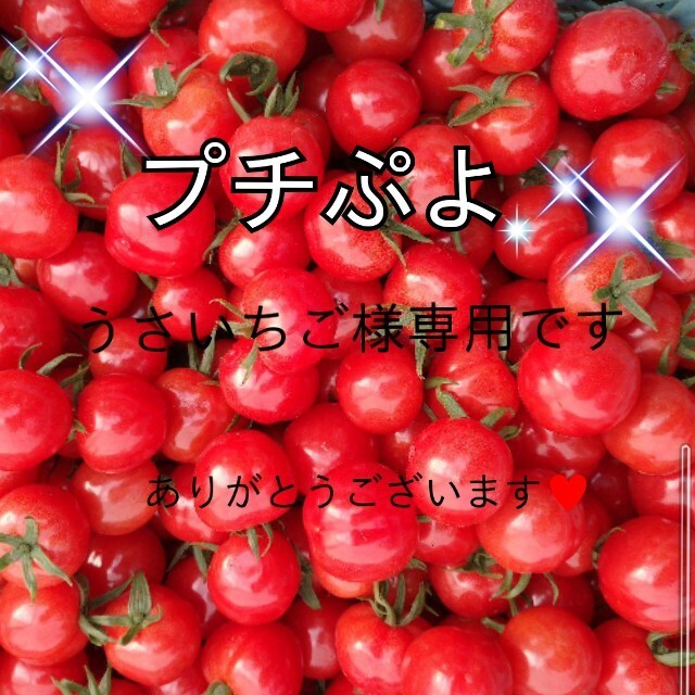 宝石💎のような煌めきを放つ『プチぷよ』1キロバラ☆001 食品/飲料/酒の食品(野菜)の商品写真