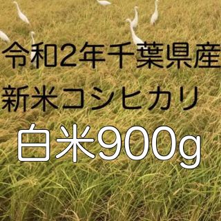 令和2年新米コシヒカリ白米900g(米/穀物)