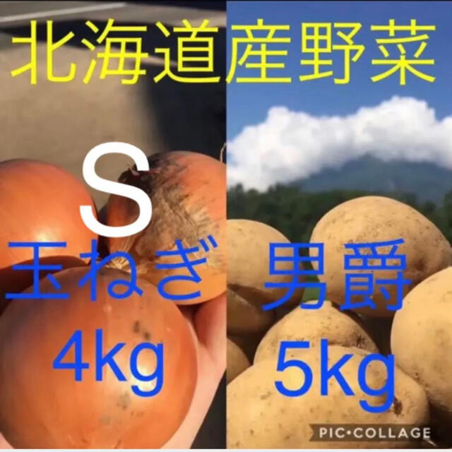 北海道産じゃがいも5kg 玉ねぎ4kg 食品/飲料/酒の食品(野菜)の商品写真