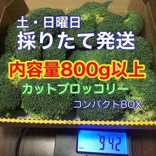 カットブロッコリー　コンパクトBOX 採りたて発送　鹿児島産(野菜)