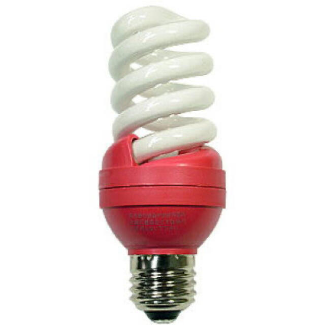 電球 蛍光ランプ ピンク色 60w明るさ 消費電力13w 省エネランプの通販 By 即 購入 Ok Village ラクマ 電球 蛍光ランプ ピンク色 60w明るさ 消費電力13w 省エネランプの通販 By 即 購入 Ok Village ラクマ
