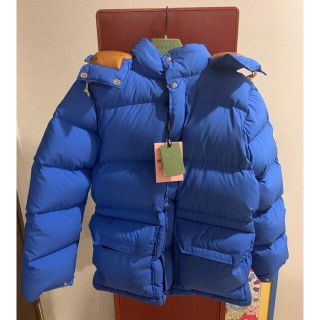 グッチ(Gucci)のgucci the north face TNF down ダウン(ダウンジャケット)