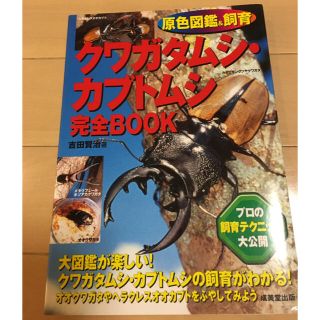 クワガタムシ・カブトムシ完全ｂｏｏｋ 原色図鑑＆飼育(科学/技術)