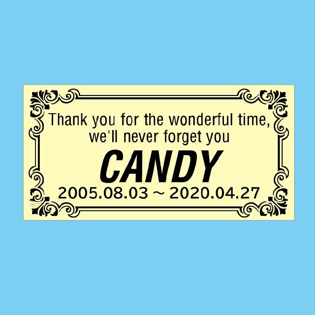Candy様 専用の通販 by USA's shop|ラクマ