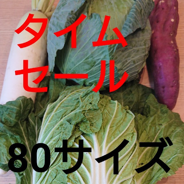 ★80センチ★5キロ入り★野菜詰め合わせセット★ 食品/飲料/酒の食品(野菜)の商品写真